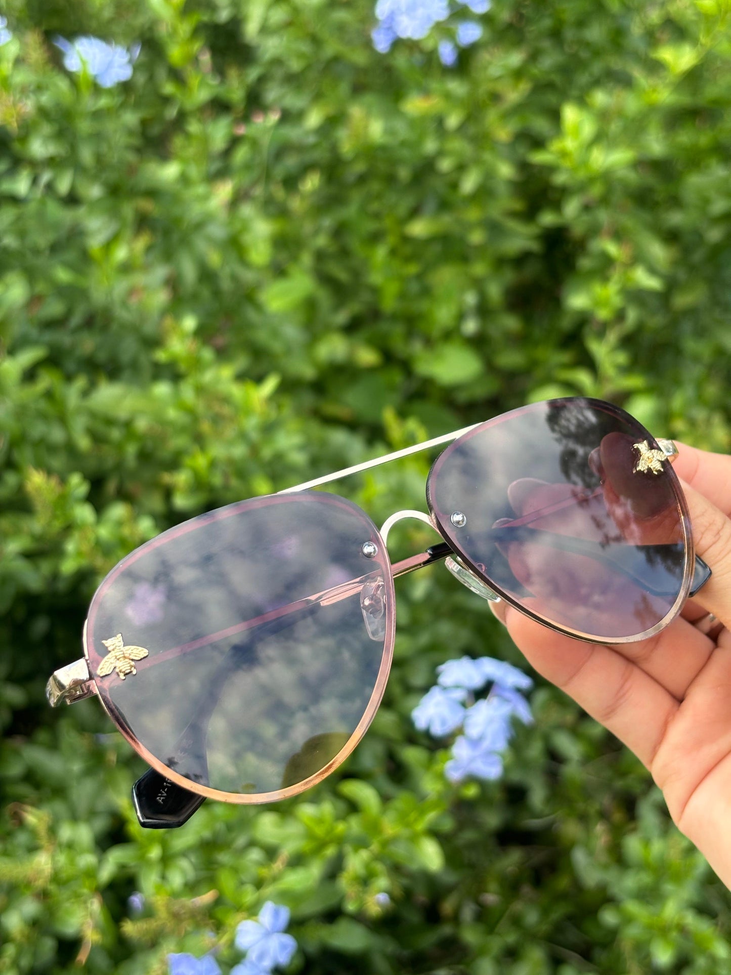 Aviator
