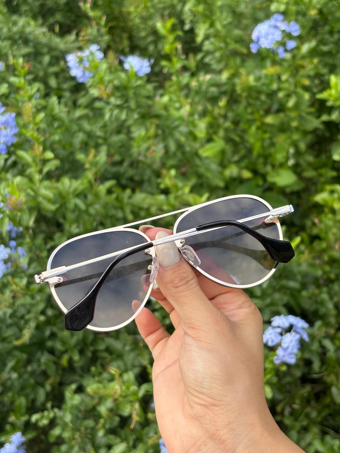 Aviator